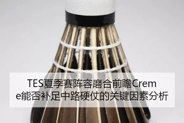 TES夏季赛阵容磨合前瞻Creme能否补足中路硬仗的关键因素分析